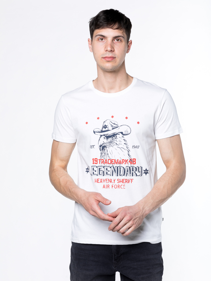 Футболка мужская 84207